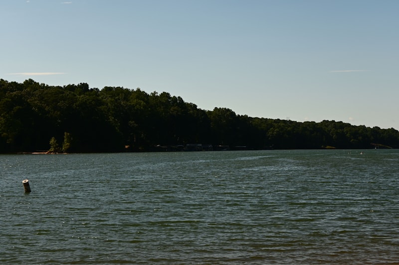 Lake Lanier near Cumming, GA