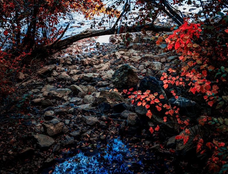 Chattahoochee River near Roswell, GA